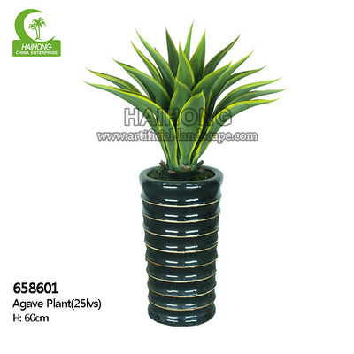 Aesthetic H60cm Artificial Succulent Plant For Home Decoration