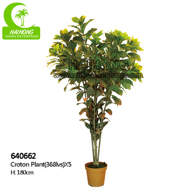 Customized 180cm fake Natural Foliage Variegated Croton Plant