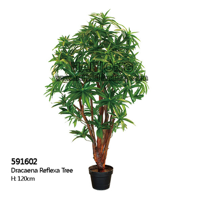 High Simulation Artificial Tropical Plant Dracaena Reflexa Tree 120cm Height