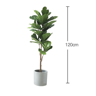 Natural 120cm Height Pandurata Artificial Ficus Tree Landing Plant
