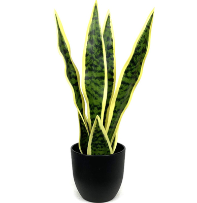 Height 100cm Artificial Potted Floor Plants Agave For Hotel Decor