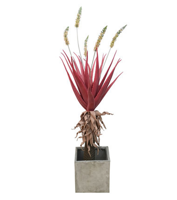 Red Giant Succulent Artificial Tropical Tree Potted Plant Indoor Home Decoration