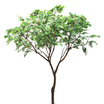 anti UV Artificial Landscaping Trees Green Maple hotel Decoration