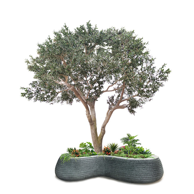 Custom Fiberglass Olive Artificial Landscape Trees Garden Decoration