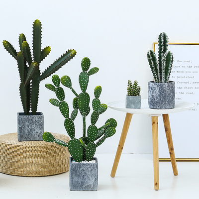 Fashion Cactus And Succulent Fake Plastic Plant For Home Decoration