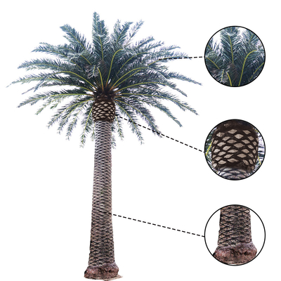 Date Palm Garden Artificial Landscape Trees 2000cm Height UV Resistance