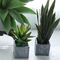 Custom Real Touch Mini Artificial Succulent Plant 35cm With Pot Home Decor