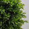 Customized Indoor Artificial Potted Floor Plants Boxwood Tree Decoration