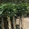 Artificial Potting Banyan Ficus Tree Wholesale Price Factory For Shopping Mall