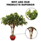 Wholesale Boxwood Tree Artificial Boxwood Tree for Decoration