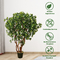 Cheap Price Boxwood Tree Artificial Boxwood Tree For Indoor Decoration