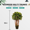 Boxwood Tree With Multi Trunks Artificial Boxwood Tree For Indoor Decoration