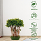Boxwood Tree With Multi Trunks Artificial Boxwood Tree For Indoor Decoration