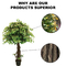 Artificial Plants Hot Selling Small Banyan Tree For Home Decoration