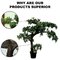 Potted Pine Tree for Home Decoration