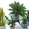 Plastic Artificial Plants Succulents Wedding Indoor Decorative