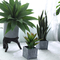 Plastic Artificial Plants Succulents Wedding Indoor Decorative