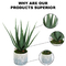 Customizable Landscape 23CM Artificial Potted Floor Plants Green Aloe Garden Decoration