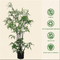 Faux Fern Small Artificial Potted Floor Plants Bonsai 450cm Wind Resistance