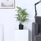 Plastic Material Artificial Fern Tree Architectural Landscaping