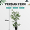 Plastic Material Artificial Fern Tree Architectural Landscaping