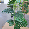 Potted Indoor Plastic Artificial Monstera Plant For Dining Room Decoration