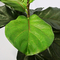 Artificial Fiddle Leaf Fig For Home Outdoor Landscaping Garden Decor