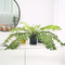 Mini Artificial Fern Plants For Architectural Landscaping