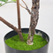 Plastic Artificial Potted Floor Plants Sunshine Trees For Indoor Outdoor Decor
