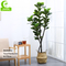Flame Retardant Height 155cm Aesthetic Artificial Ficus Lyrata With Pot