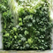 Rain Resistant Lifelike Anti Fading Vertical Greening For Garden