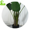 Artificial Traveler's Palm Decorative Best Office Plants