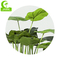 2021 Lifelike Artificial Monstera Plants Of North Europe Style