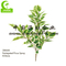 70cm Height Artificial Tree Branches
