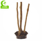 Imitation Bonsai High Quality Artificial Dracaena With Real Touch Leaves For Hot Sale