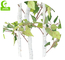 Factory Customizable Good-Looking Artificial White Birch Tree With Three Trunk Green Garden Landscaping