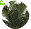 Supplier Height 500cm Artificial Date Palm Tree High Quality Outdoor Tropical Tree