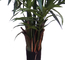 H210cm Artificial Tropical Tree , Artificial Kentia Palm Tree For Indoor Decoration