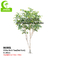 Durable No Nursing Artificial Landscape Trees , Artificial Indoor Birch Tree 280cm