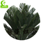 PE leaf H100cm Artificial Tropical Tree, Artificial Cycas Palm For Indoo Outdoor