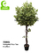 Wholesaler Popular Beautiful 165cm Artificial Variegated Ficus Tree Indoor Decor And Space Landscaping
