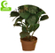 Factory Inexpensive Artificial Hydrangea Plant For Indoor Decoration