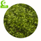 Anti Fading Aesthetic H90cm Artificial Topiary Tree For Restaurant