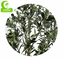 Hot Selling Stunning Artificial Decorative Plant Artificial Olive Trees For Sale Indoor Decor