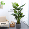 HAIHONG High Simulation Artificial Potted Floor Plants 160cm