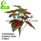 High Simulation Luxury 13pcs Plastic Palm Tree Leaves 36cm Height