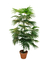 105cm Height Artificial Potted Floor Plants Mini Fan Palm Tree