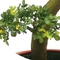 Lifelike Artificial Potted Floor Plants High Simulation Topiary Greenery Boxwood