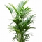 150cm Height Artificial Potted Floor Plants Feather Palm Tree