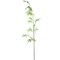 Height 180cm Green Artificial Landscape Trees Bamboo Plant For Outdoor Decoration